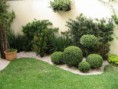 /album/paisagismo/a67594944-1-jardinagem-e-paisagismo-oliveira-sao-paulo-jpg/