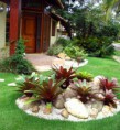 /album/paisagismo/bromelias500-jpg/